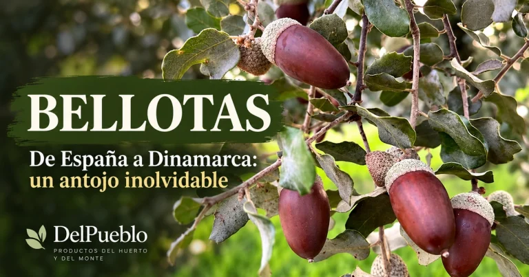 Bellotas en las ramas de una encina, con el texto «Bellotas» y el logotipo de DelPueblo.