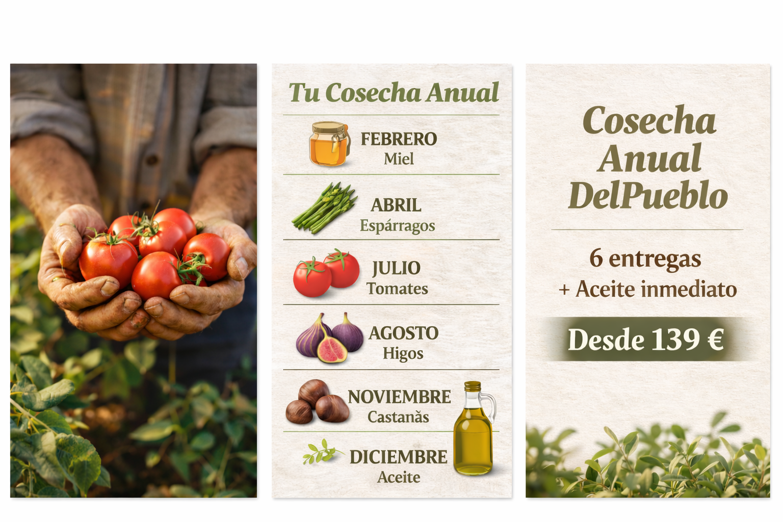 productos de temporada a domicilio calendario cosecha anual DelPueblo con miel espárragos tomates higos castañas y aceite