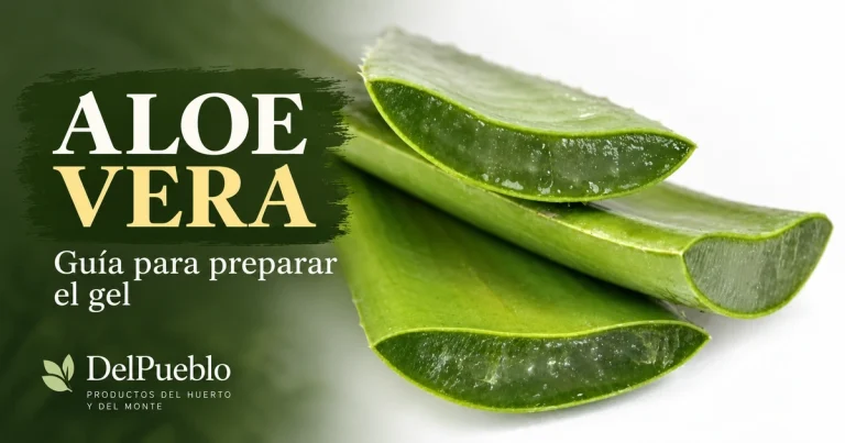 Hojas de aloe vera cortadas con el gel interior visible, con el texto «Aloe vera» y el logotipo de DelPueblo.