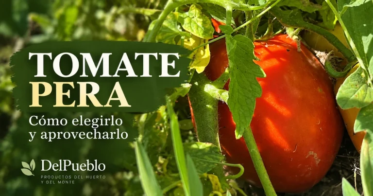 Tomate pera rojo madurando en la planta entre hojas verdes, con el texto «Tomate pera» y el logotipo de DelPueblo.