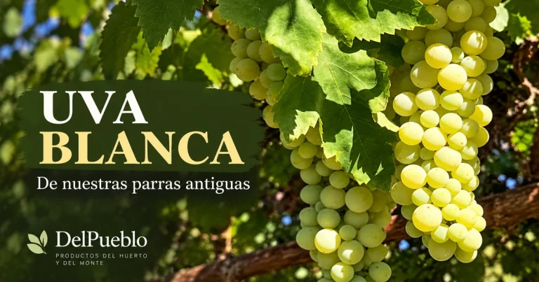 Racimos de uva blanca entre hojas de parra, con el texto «Uva blanca» y el logotipo de DelPueblo.