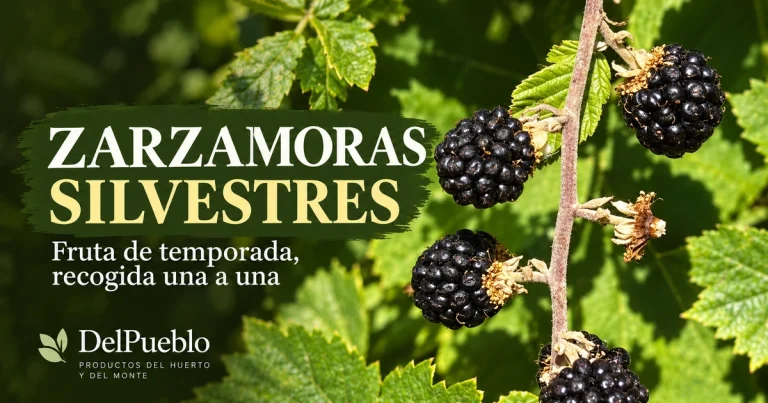 Zarzamoras maduras en una rama con hojas verdes, con el texto «Zarzamoras silvestres» y el logotipo de DelPueblo.