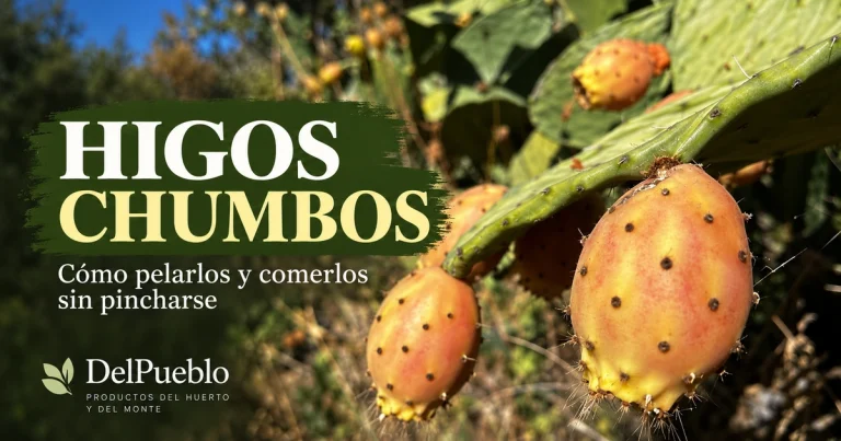 Higos chumbos amarillos y anaranjados en una chumbera, con el texto «Higos chumbos» y el logotipo de DelPueblo.