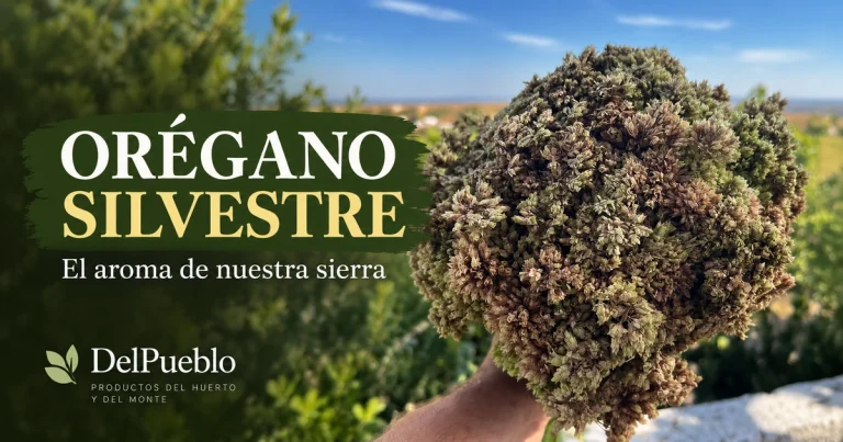 Mano sujetando un manojo de orégano silvestre al aire libre, con el texto «Orégano silvestre» y el logotipo de DelPueblo.