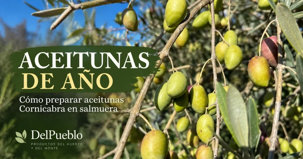 Aceitunas Cornicabra en el olivo, con el texto «Aceitunas de año» y el logotipo de DelPueblo.